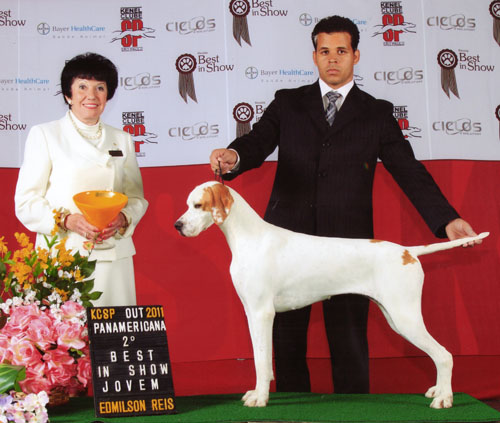 Dobes Den Kennel - Vidinha